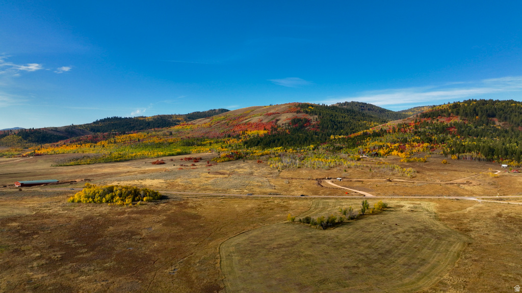 400  MAGGI RD Montpelier, ID 83254