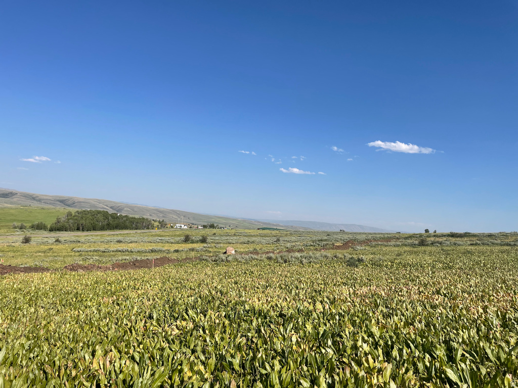 400  MAGGI RD Montpelier, ID 83254