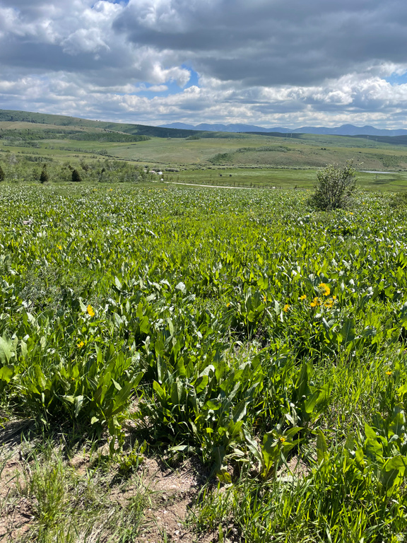 400  MAGGI RD Montpelier, ID 83254