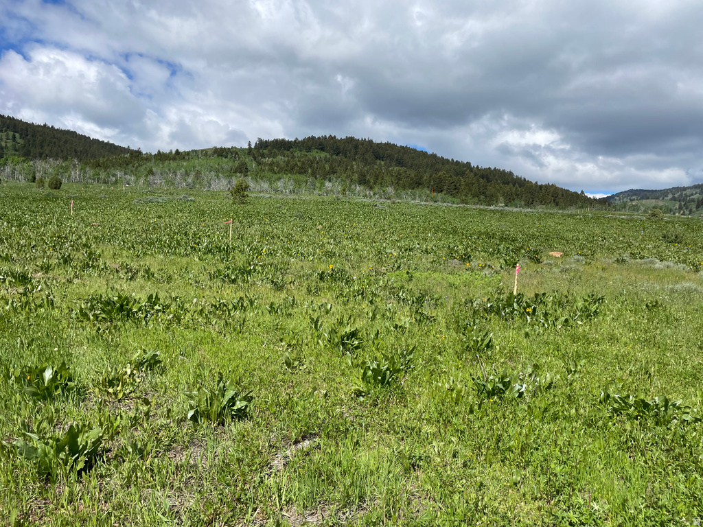 400  MAGGI RD Montpelier, ID 83254