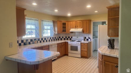 220 W OLD CHURCH RD Toquerville, UT 84774