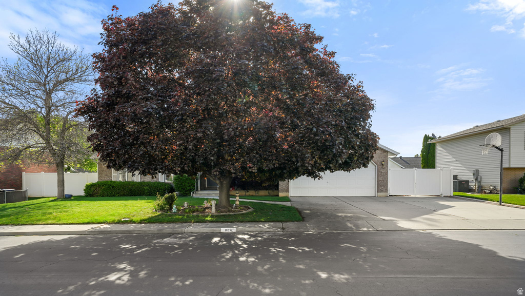 864 S 900 E Spanish Fork, UT 84660