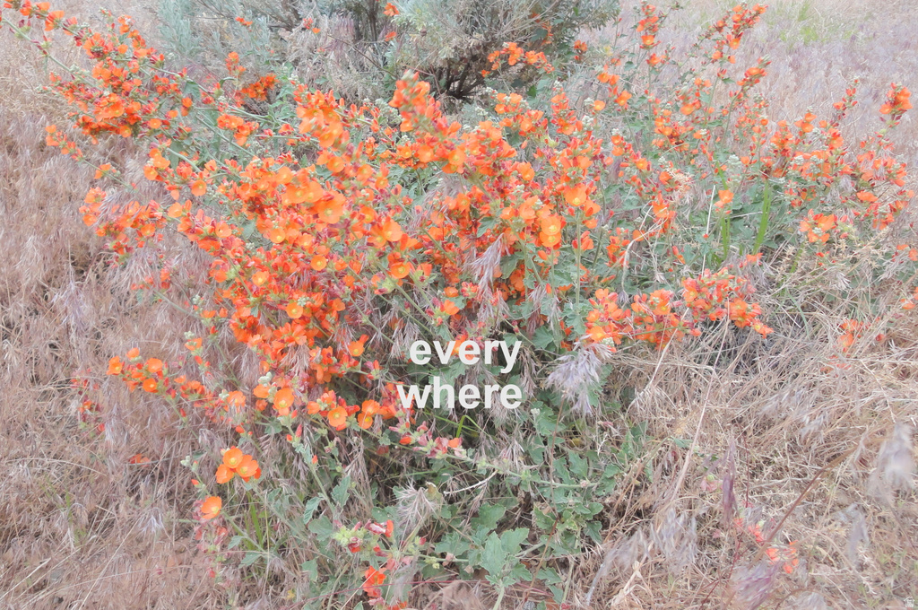 251 N THOMPSON RD Thompson, UT 84540