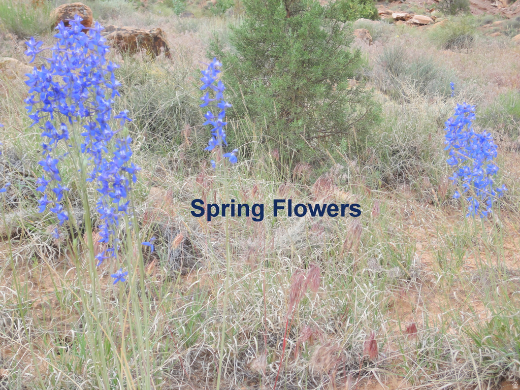 251 N THOMPSON RD Thompson, UT 84540