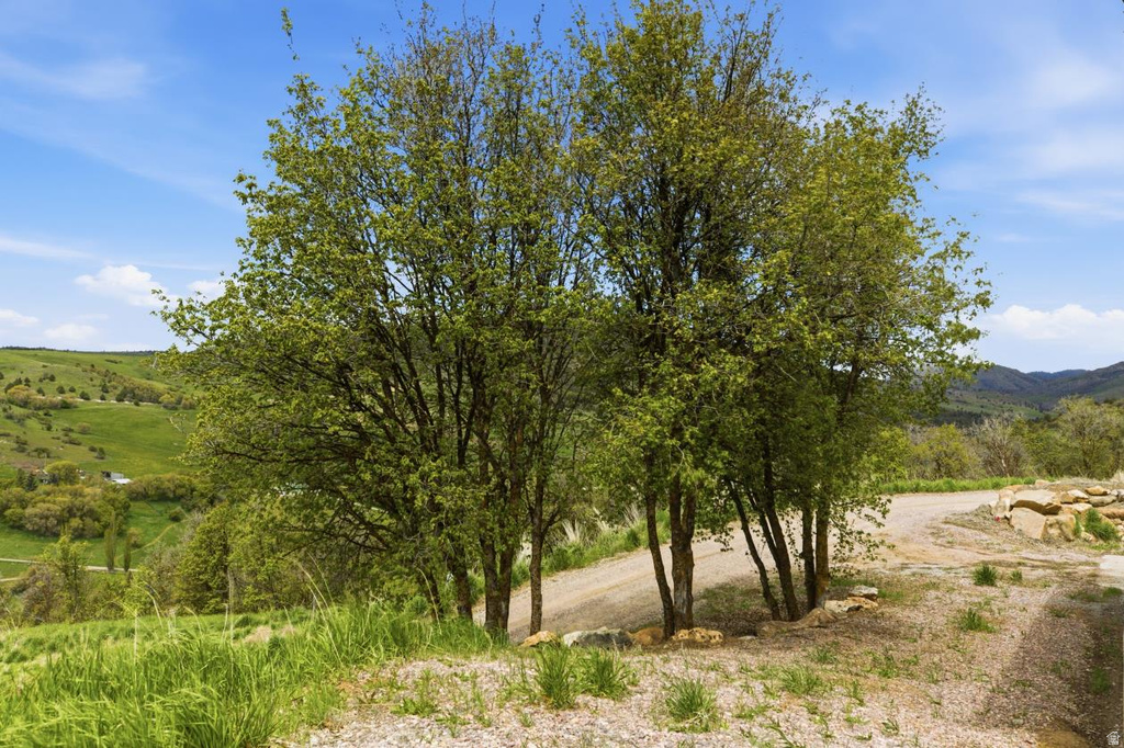916 N BONNEVILLE RD Preston, ID 83263