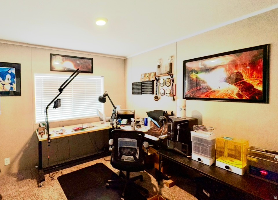 22498 N 12320 E #B58 Fairview, UT 84629