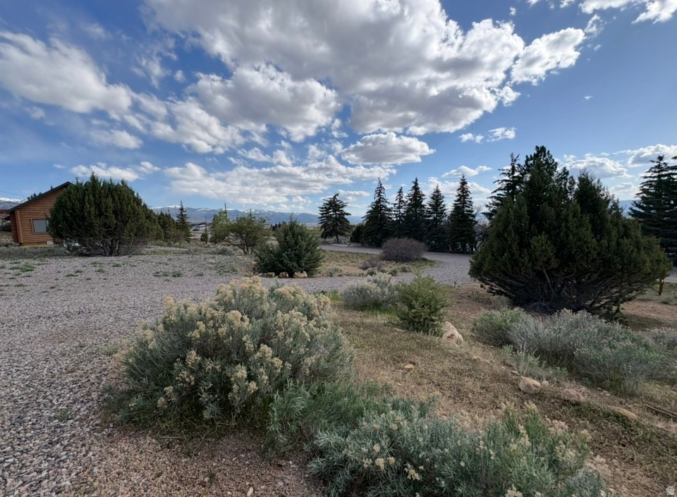 22498 N 12320 E #B58 Fairview, UT 84629