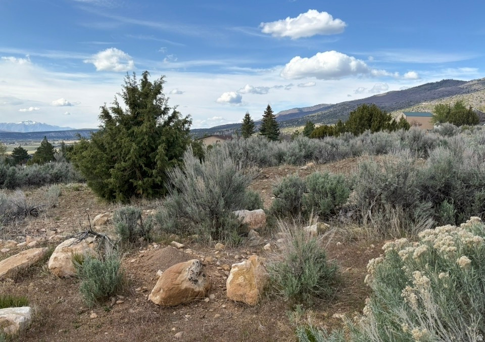 22498 N 12320 E #B58 Fairview, UT 84629