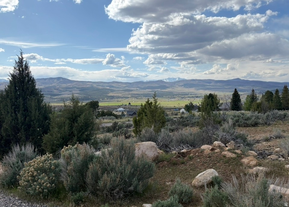22498 N 12320 E #B58 Fairview, UT 84629