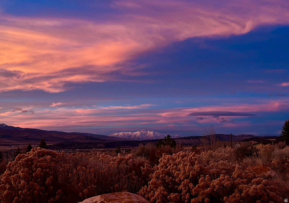 22498 N 12320 E #B58 Fairview, UT 84629