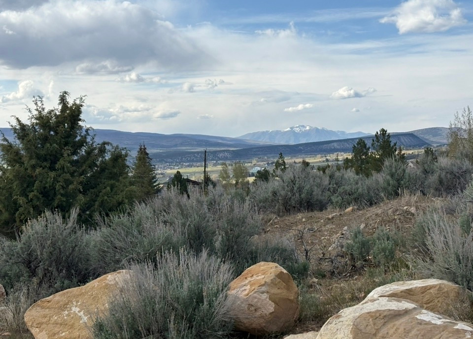 22498 N 12320 E #B58 Fairview, UT 84629