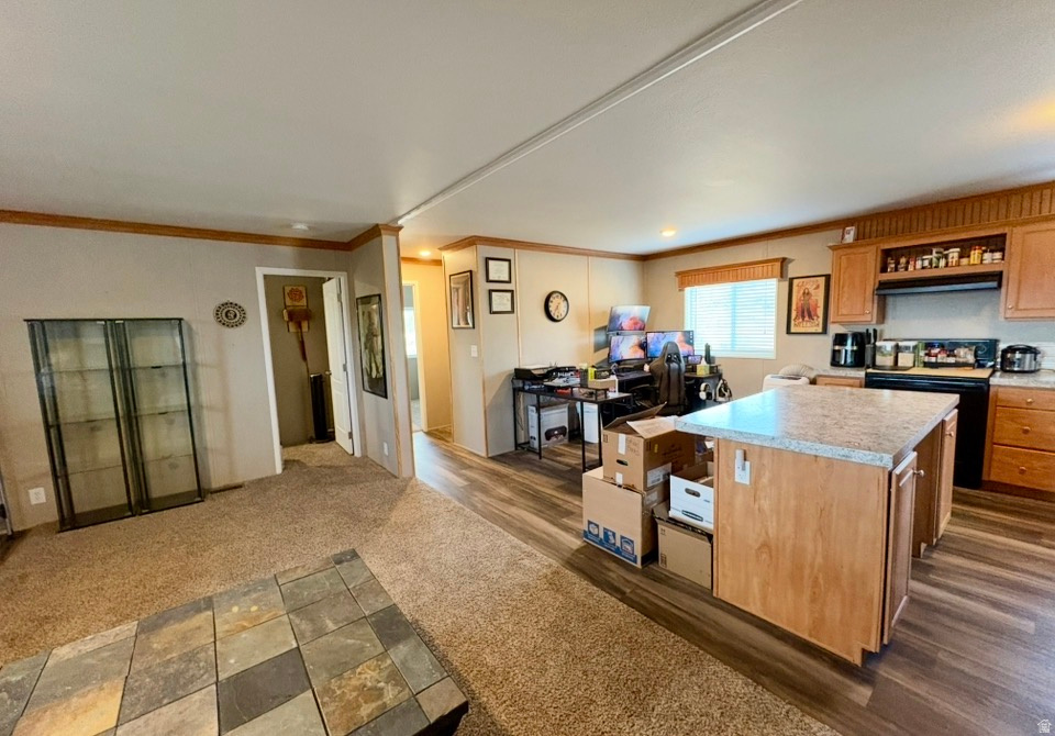 22498 N 12320 E #B58 Fairview, UT 84629
