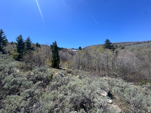 425  HICKOCK DR Fish Haven, ID 83287