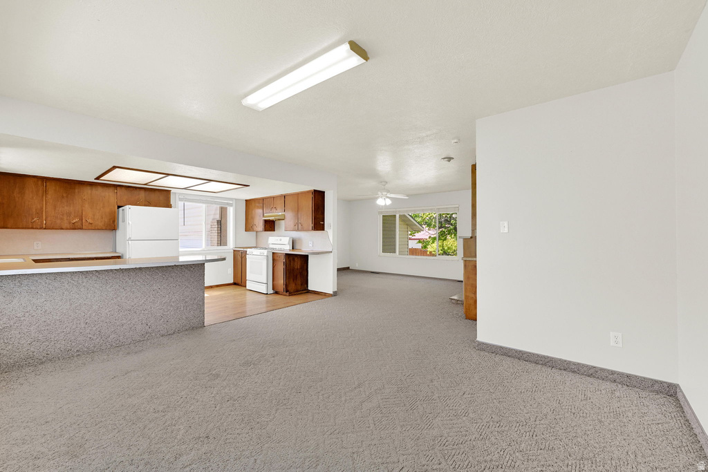 15495 N 4400 W Garland, UT 84312