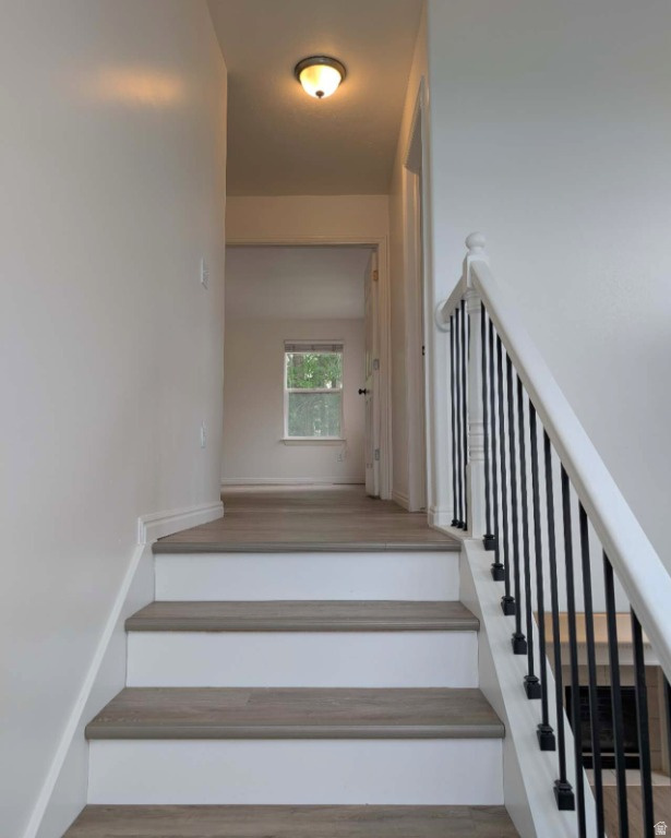 1297 S 1540 E Provo, UT 84606