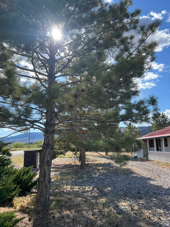 772 W 1400 S Elsinore, UT 84724