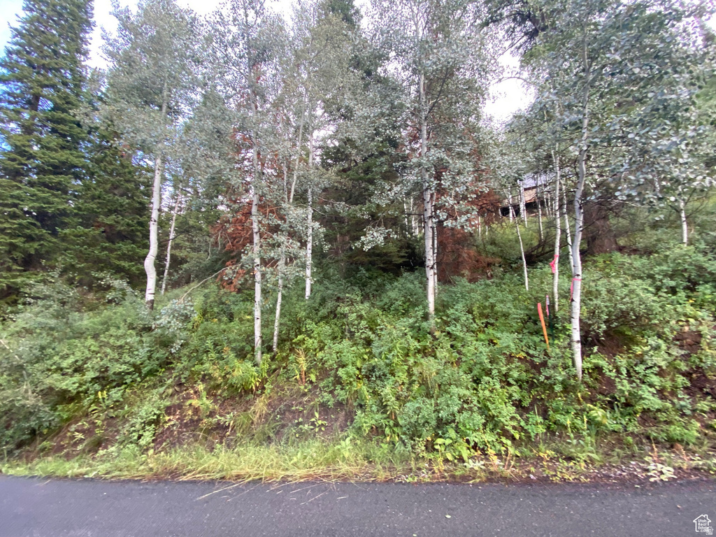 551  RED FIR WAY Oakley, UT 84055