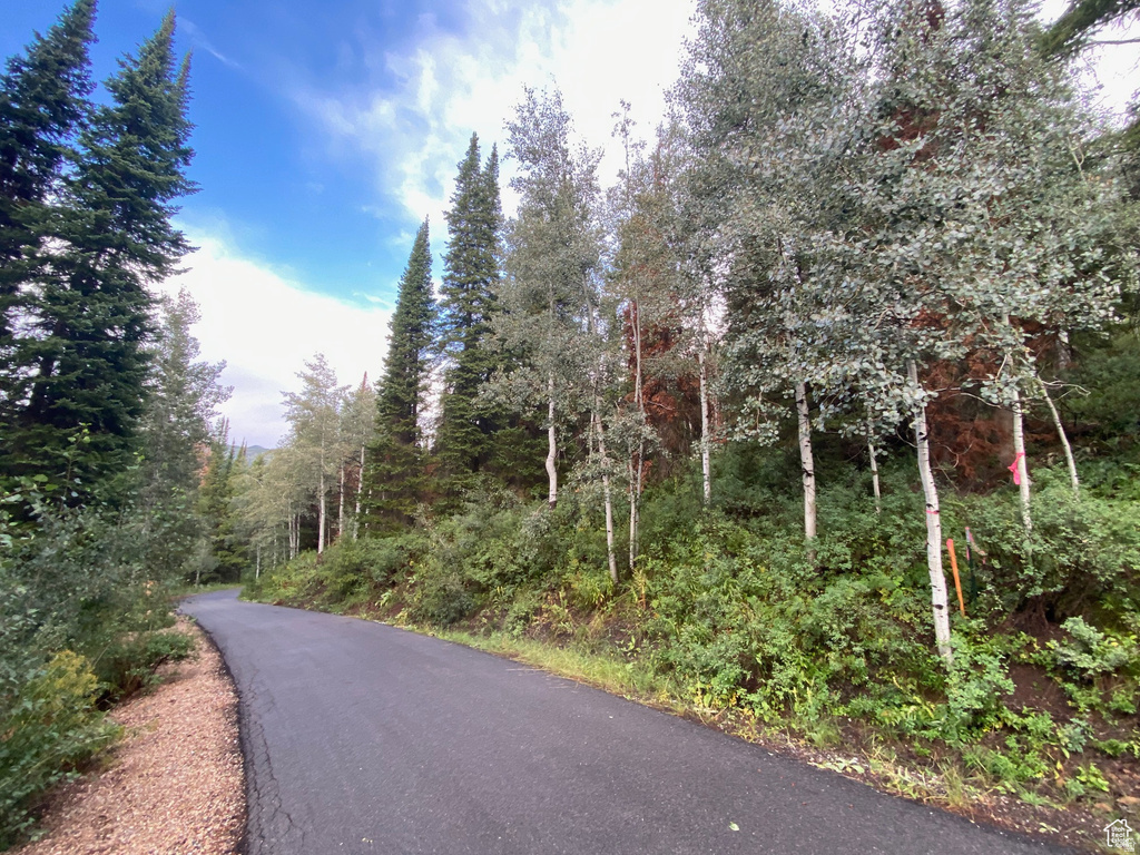 551  RED FIR WAY Oakley, UT 84055
