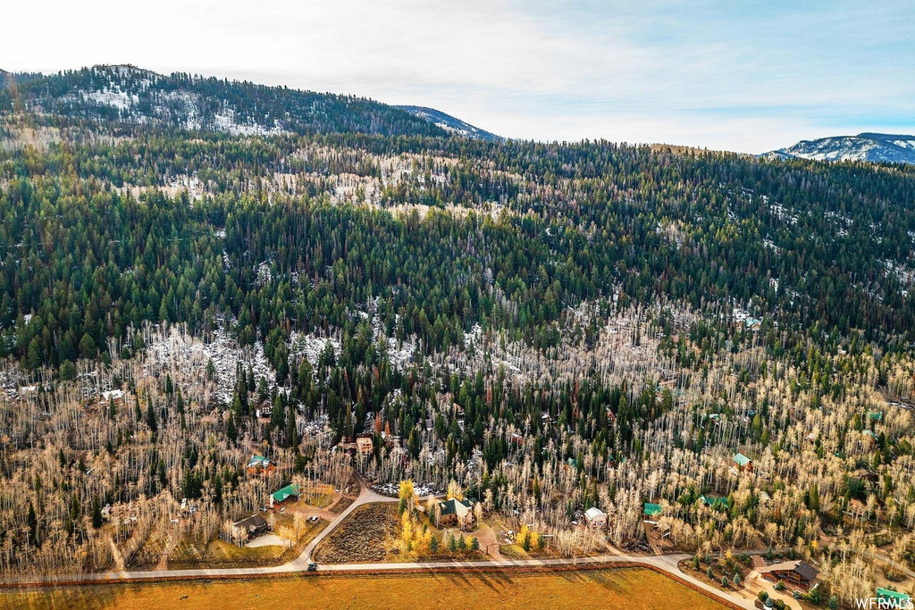 551  RED FIR WAY Oakley, UT 84055
