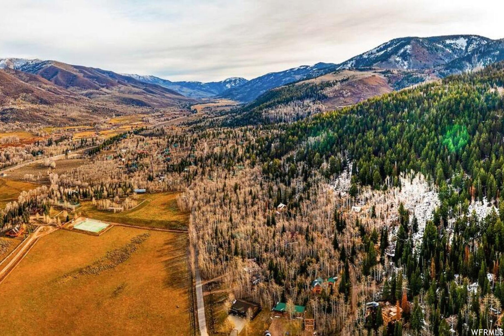 551  RED FIR WAY Oakley, UT 84055