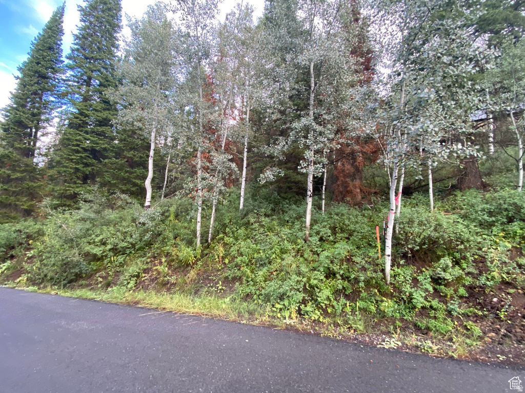 551  RED FIR WAY Oakley, UT 84055