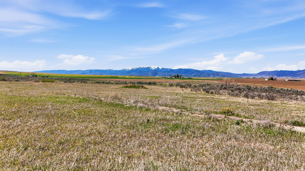 1955  DEERHORN CIR Bancroft, ID 83217