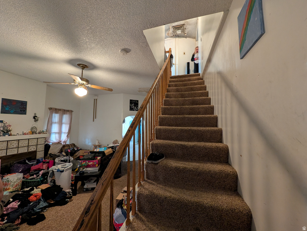 335 E FOREST Brigham City, UT 84302