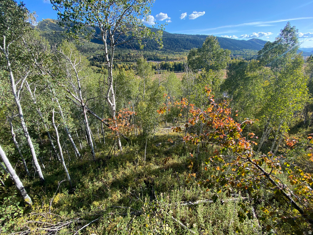 5490 E FREMONT TRL Oakley, UT 84055