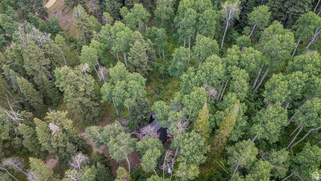 11152 E GREEN BRIAR RD #460 Heber City, UT 84032