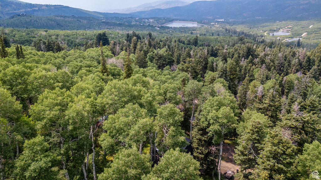 11152 E GREEN BRIAR RD #460 Heber City, UT 84032