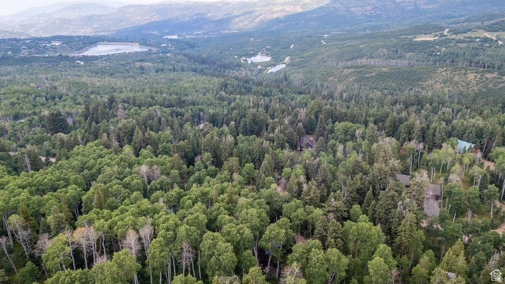 11152 E GREEN BRIAR RD #460 Heber City, UT 84032
