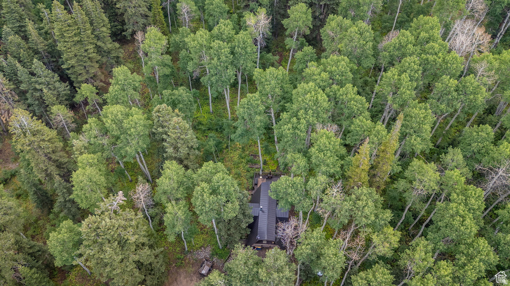 11152 E GREEN BRIAR RD #460 Heber City, UT 84032