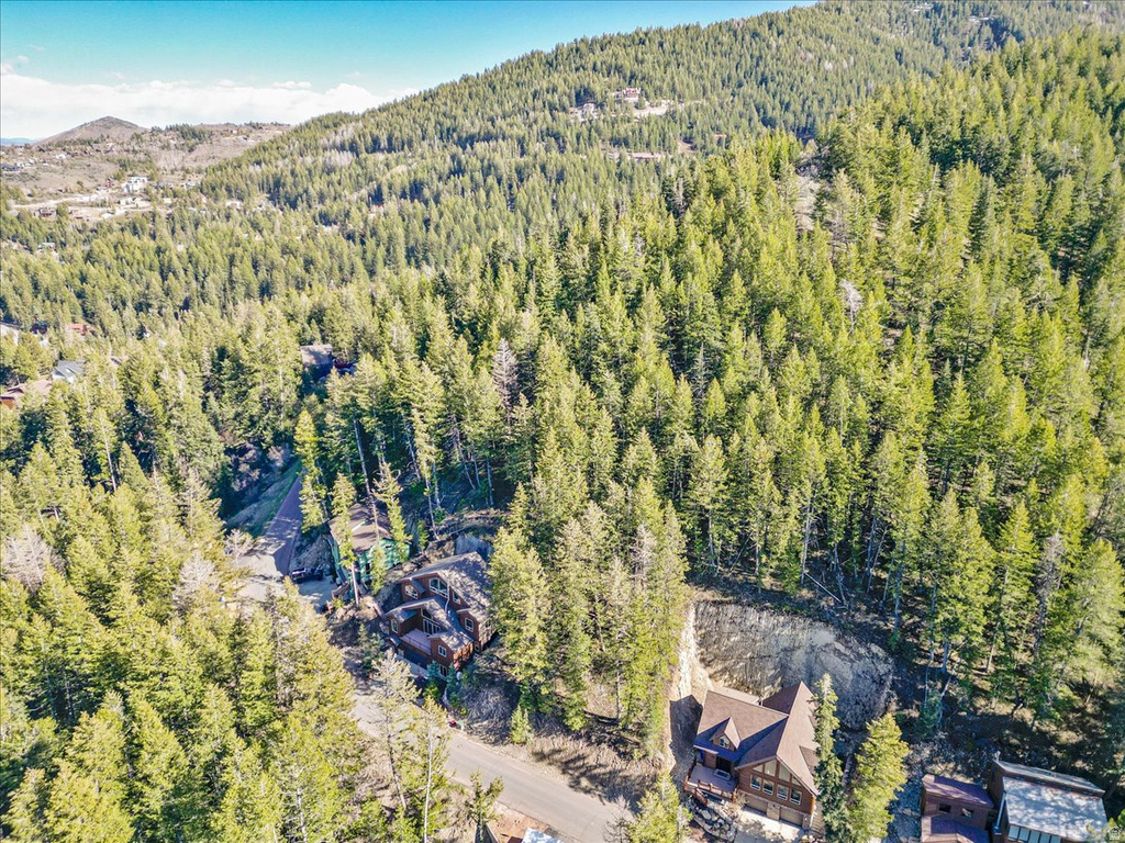 465  UPPER EVERGREEN DR Park City, UT 84098