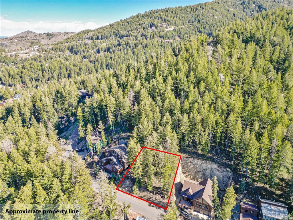 465  UPPER EVERGREEN DR Park City, UT 84098