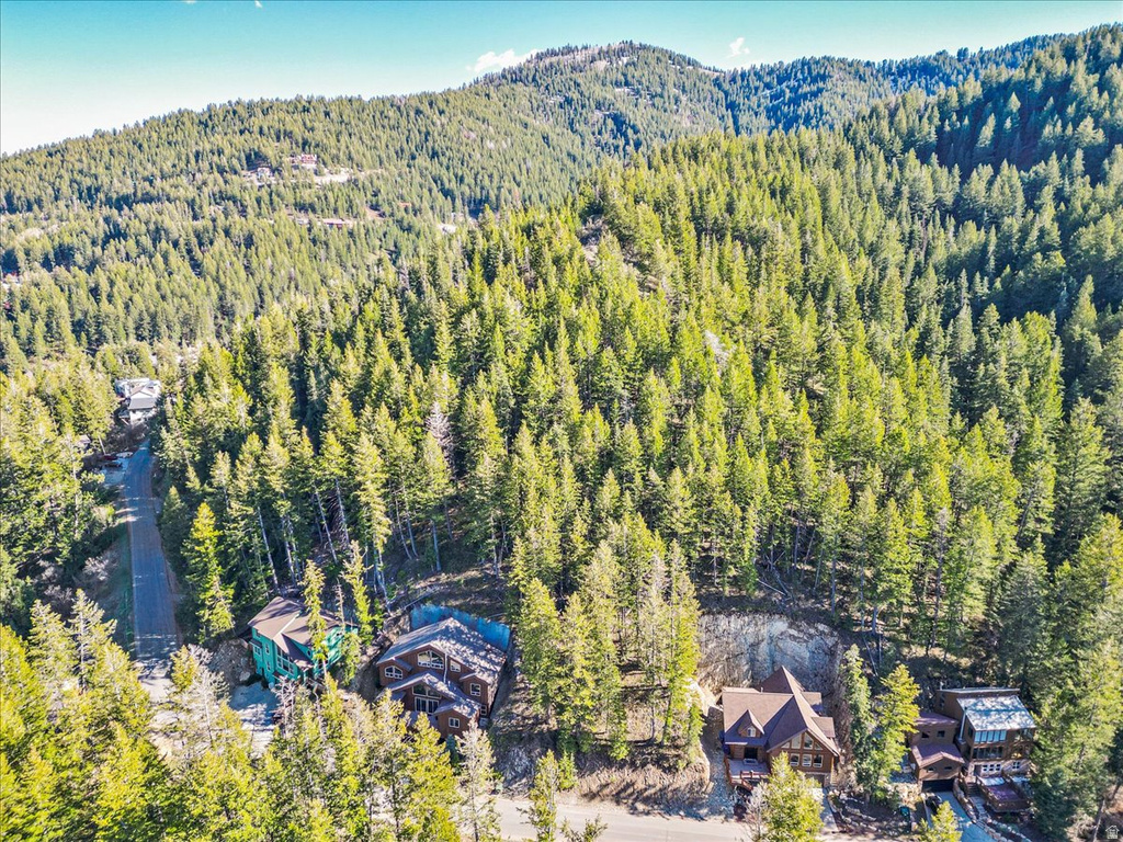465  UPPER EVERGREEN DR Park City, UT 84098