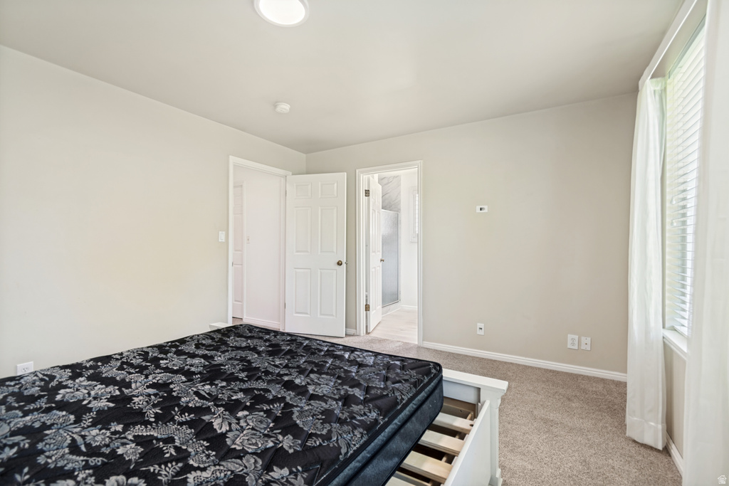 Carpeted room featuring a ceiling-mounted light fixture, white trim, and a window with blinds