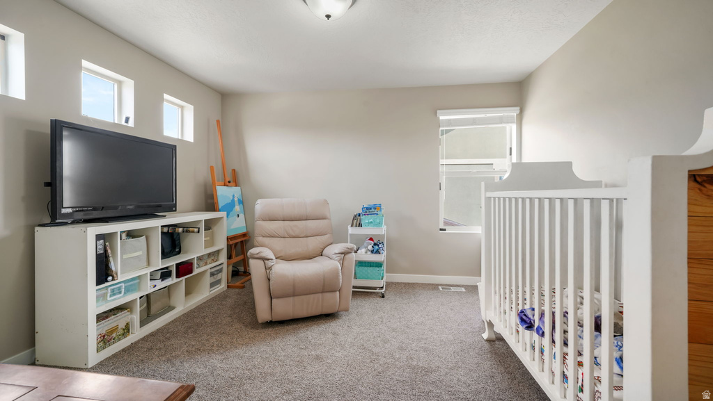 444 W MEADOW WALK DR Heber City, UT 84032