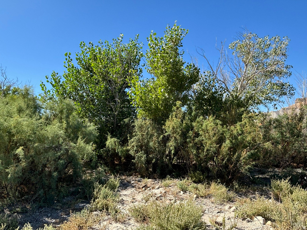  Caineville, UT 84775
