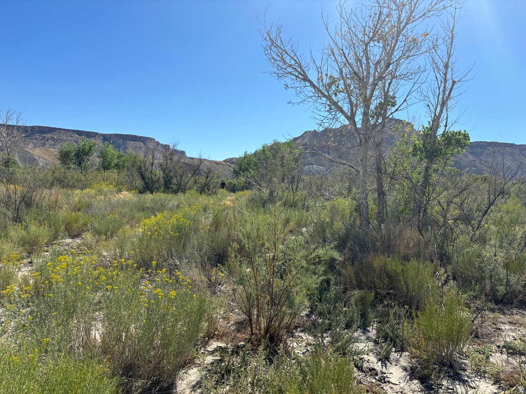  Caineville, UT 84775