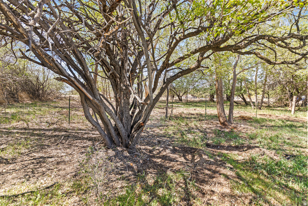 350 N 200 E Ferron, UT 84523
