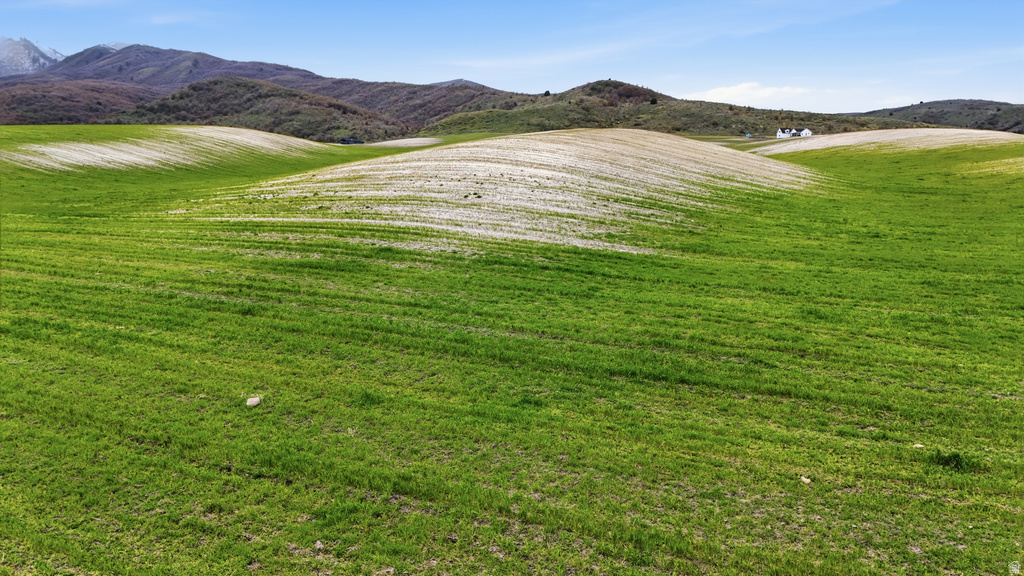  Mendon, UT 84325