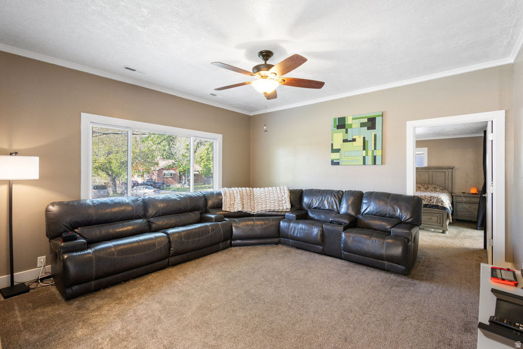 265 W 100 N Springville, UT 84663