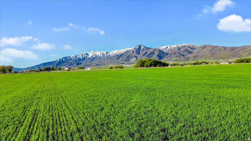 1300 N 6000 W Petersboro, UT 84325