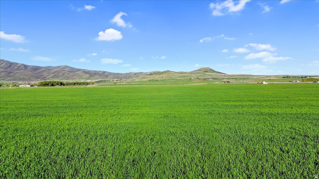 1300 N 6000 W Petersboro, UT 84325
