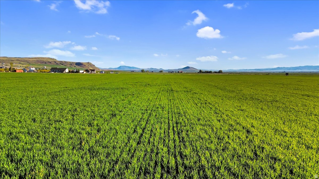 1300 N 6000 W Petersboro, UT 84325