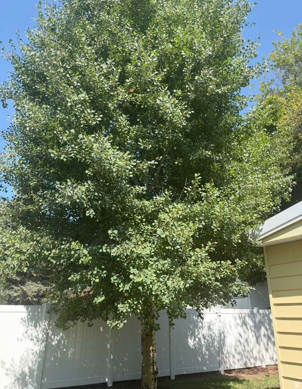 150 W 200 ST Duchesne, UT 84021