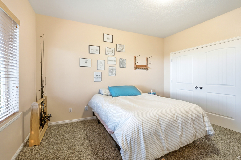 3870 N 15800 W Altamont, UT 84001