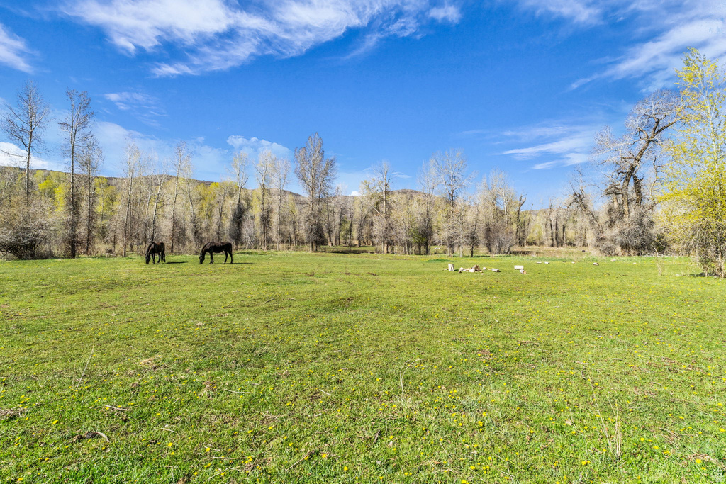  Woodland, UT 84036