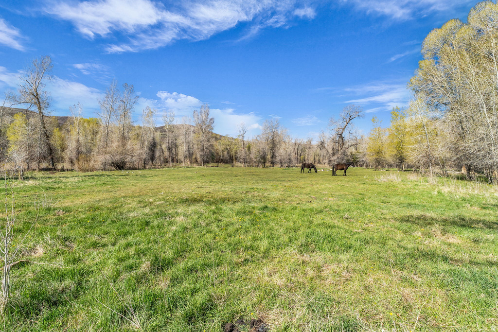  Woodland, UT 84036