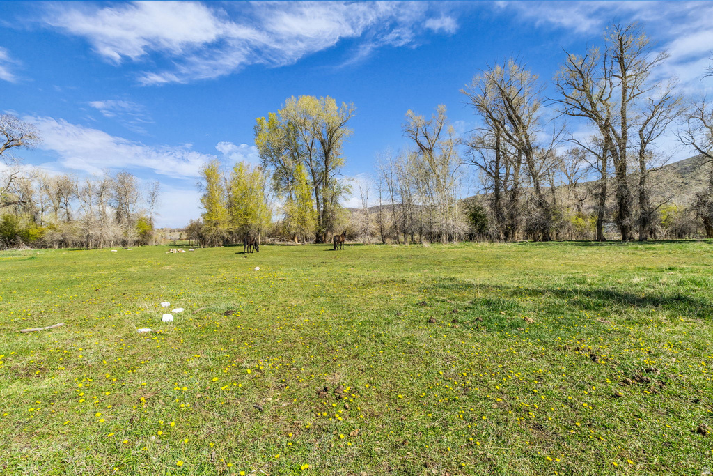  Woodland, UT 84036